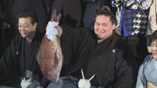 Reason Ozeki Terunofuji revived in Spring Grand Sumo Tournament